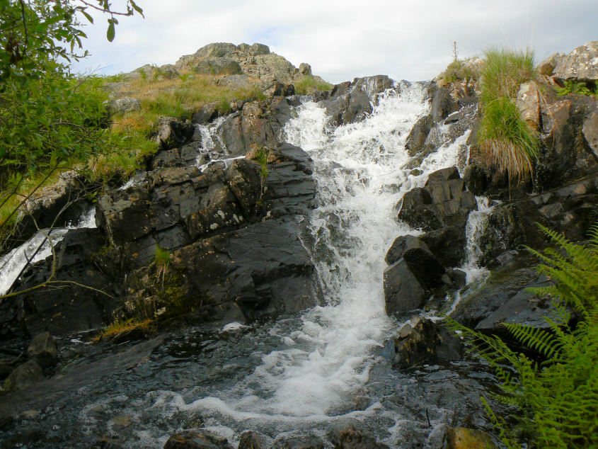 Linbeck Gill Linbeck Gill
